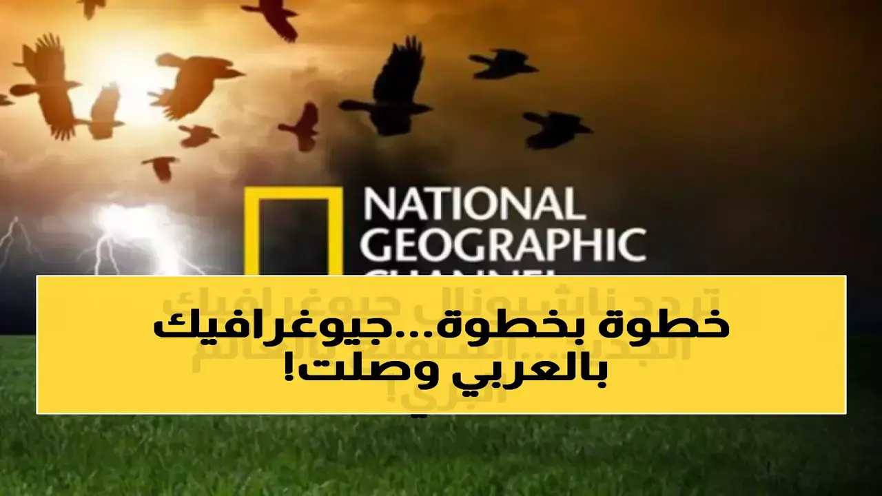 تردد قناة ناشيونال جيوغرافيك الجديد على قمري نايل سات وعرب سات الحالي